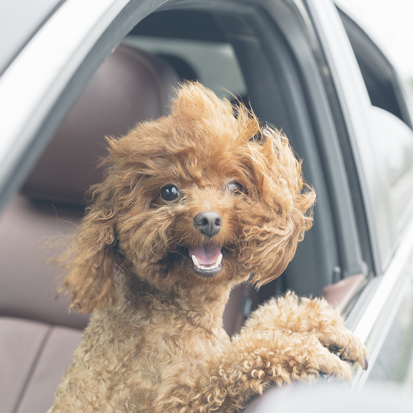 Veranstaltungsbild der Kategorie Verkehr